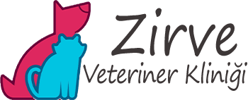 biVet